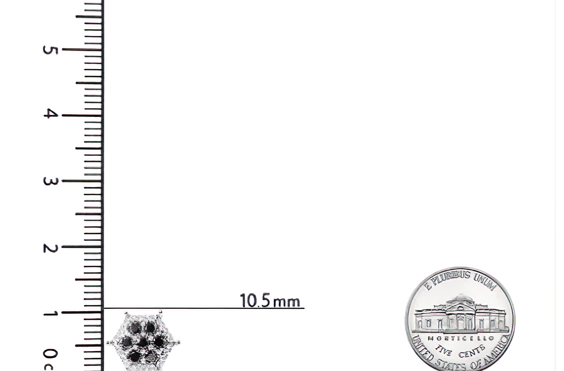 Men's 10K Yellow Gold 7/8 Cttw White and Black Treated Diamond Earring (Black / I-J Color, I2-I3 Clarity) - Stormyjay