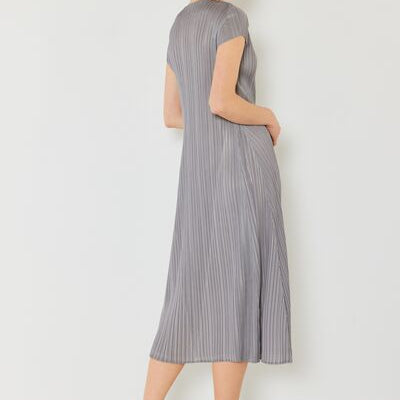 Marina West Swim Pleated Cap Sleeve A-Line Dress - Stormyjay