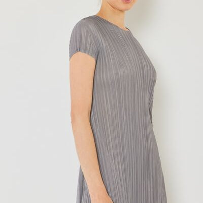 Marina West Swim Pleated Cap Sleeve A-Line Dress - Stormyjay