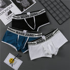 Cotton Men's Underwear Capsule Bag Separation Underwear Men's Solid Color Three-dimensional Cutting Cotton Underwear Men's - Stormyjay