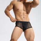 Men's Underwear Breathable Sexy Nylon Mesh Underwear Youth Boxer Briefs - Stormyjay