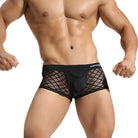 Men's Underwear Breathable Sexy Nylon Mesh Underwear Youth Boxer Briefs - Stormyjay