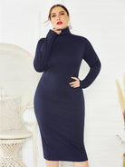 Women's Plus Size Solid Color Knit Turtleneck Long Sleeve Dress - Stormyjay