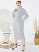 Women's Plus Size Solid Color Knit Turtleneck Long Sleeve Dress - Stormyjay