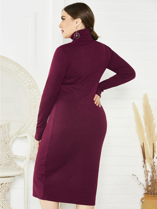 Women's Plus Size Solid Color Knit Turtleneck Long Sleeve Dress - Stormyjay