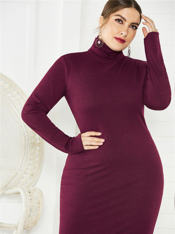 Women's Plus Size Solid Color Knit Turtleneck Long Sleeve Dress - Stormyjay