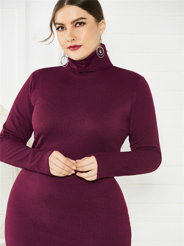 Women's Plus Size Solid Color Knit Turtleneck Long Sleeve Dress - Stormyjay