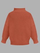 Turtleneck Long Sleeve Sweater - Stormyjay